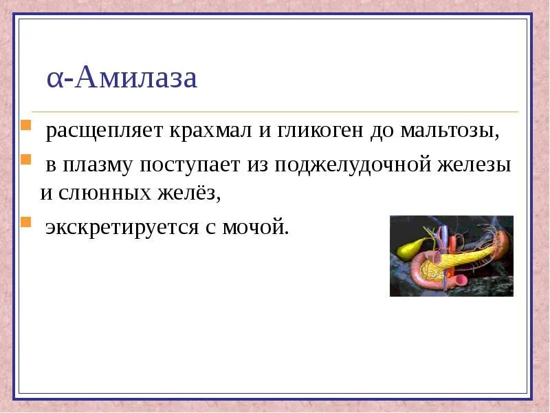 Амилаза фермент поджелудочной железы. Амилаза расщепляет крахмал до. Α-амилаза расщепляет. Амилаза расщепляет гликоген. Амилаза расщепляет крахмал и гликоген до.