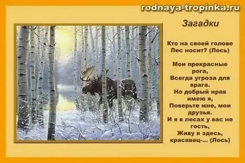 Стих животные леса