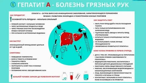 Инфекция печень вирусная