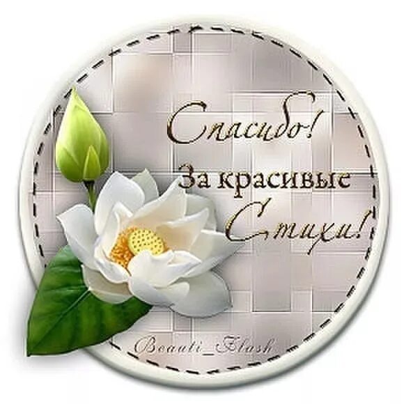 Комплимент поэту