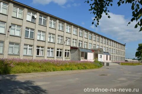 Работа отрадное ленинградская область женщин