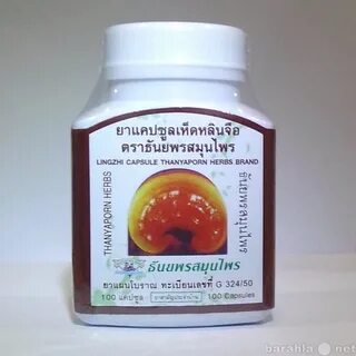 Линчжи отзывы вся правда