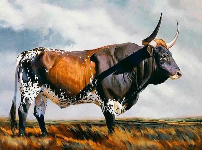 Домашний бык. Вол. Волы советская живопись. Польская корова. Вол домашнее животное.