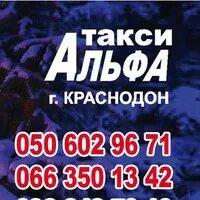 Такси альфа номер телефона