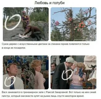 Любовь и голуби какое время