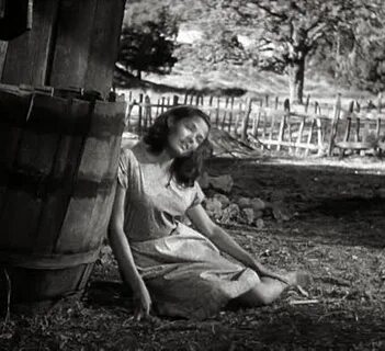 Tobacco road