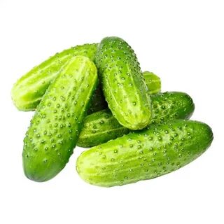 Огурцы короткоплодные