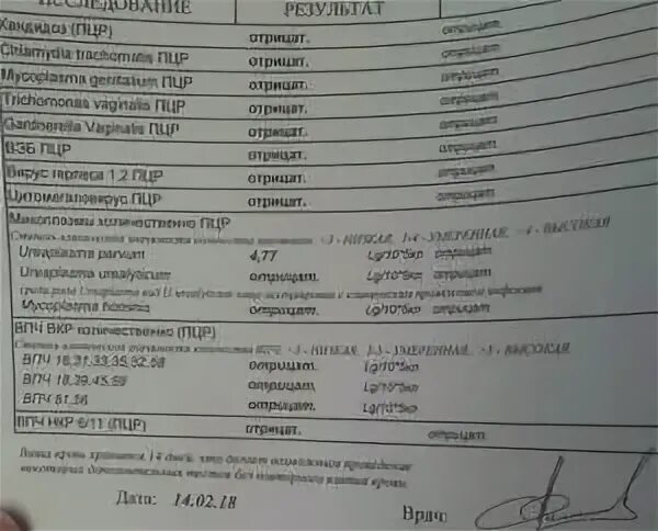 Хламидиоз уреаплазмоз. Ureaplasma parvum /urealyticum ПЦР. Уреаплазма анализ у женщин. Анализ ПЦР микоплазма. ПЦР мазок уреаплазма парвум.