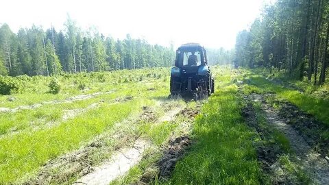 Агротехнический уход