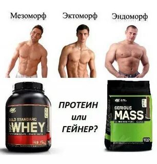 Самый лучший протеин для массы