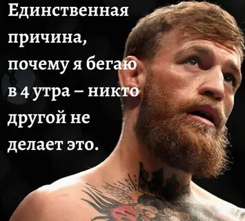 Цитаты макгрегора
