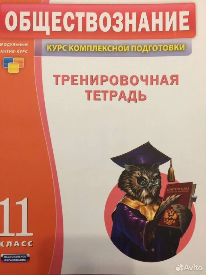 обществознание и котики. обществознание и котики. котик лежит. кот обществознание. звери с учебниками.