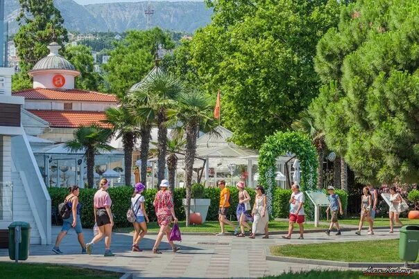 Ялта прогулка. Голая прогулка по ялте. гулярные прогулки в ялта. ооо позитив ялта.