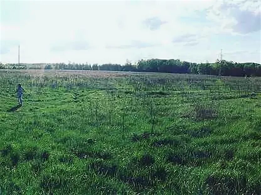 Пролетарский купить участок. Родионовка Московская область. Деревня Родионовка. Московская область деревня Родионовка. Земля Родионовка.