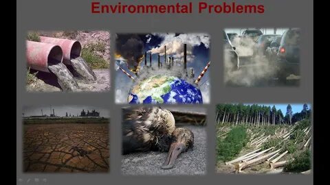 Fill in avalanche tornado pollution endangered