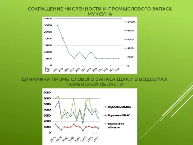 Почему численность промысловых растительноядных рыб. Прогнозирование дальнейшего изменения численности промысловых рыб. Сокращается численность промысловой рыбы Дон\.