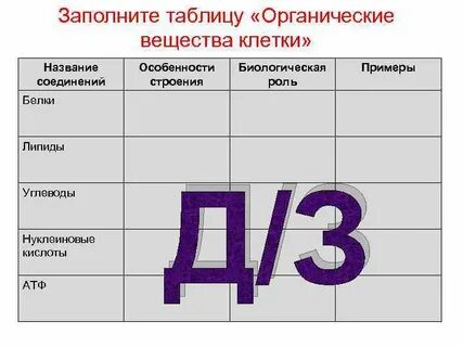 Органические вещества клетки 1 вариант