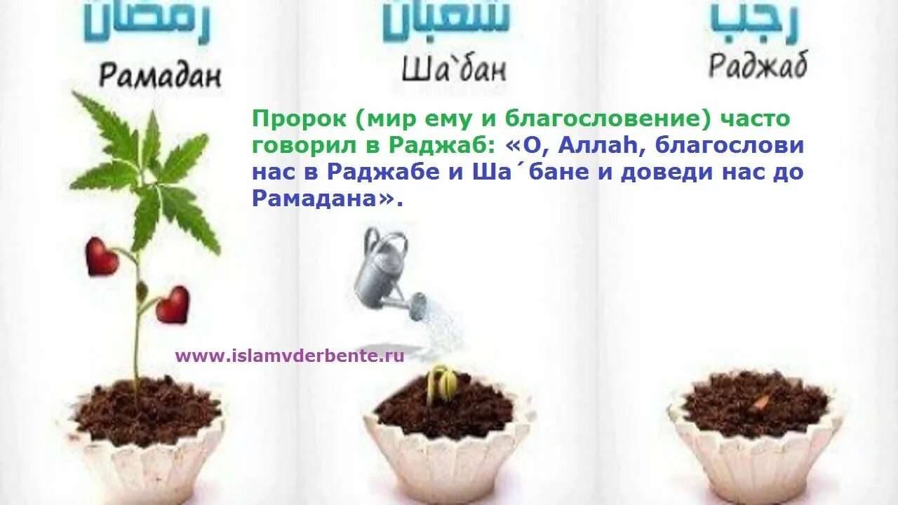 Месяц раджаб достоверные хадисы. Месяцы раджаб шаабан рамадан. раджаб шаабан рамадан. раджаб шаабан рамадан хадис. пост в месяц раджаб.