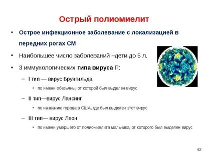 Возбудителем полиомиелита является