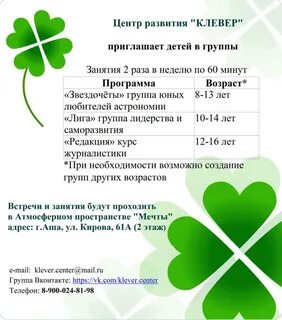 Клевер хабаровск