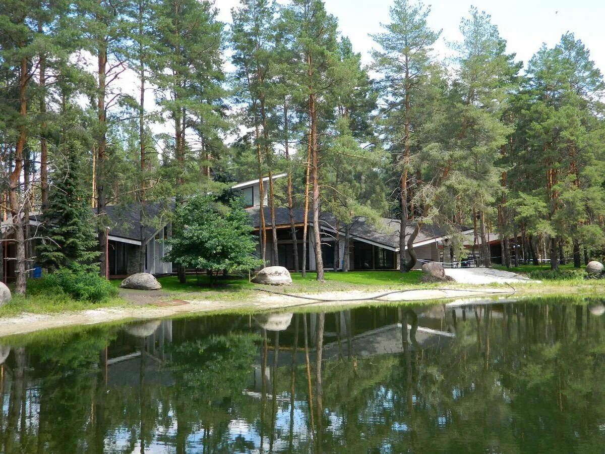 петропавловский сосновый бор омская область. деревня сосновый бор. деревня сосновый бор. деревня сосновый бор. деревня сосновый бор.