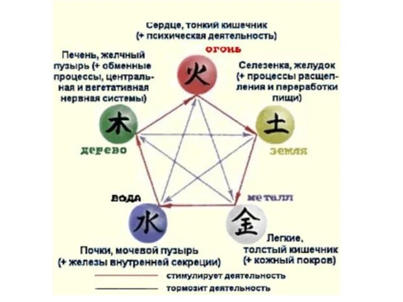 5 элементов деятельности. 5 Стихий в китайской медицине. Теория у син пяти элементов. Усин традиционная китайская медицина. Пять элементов в китайской медицине.