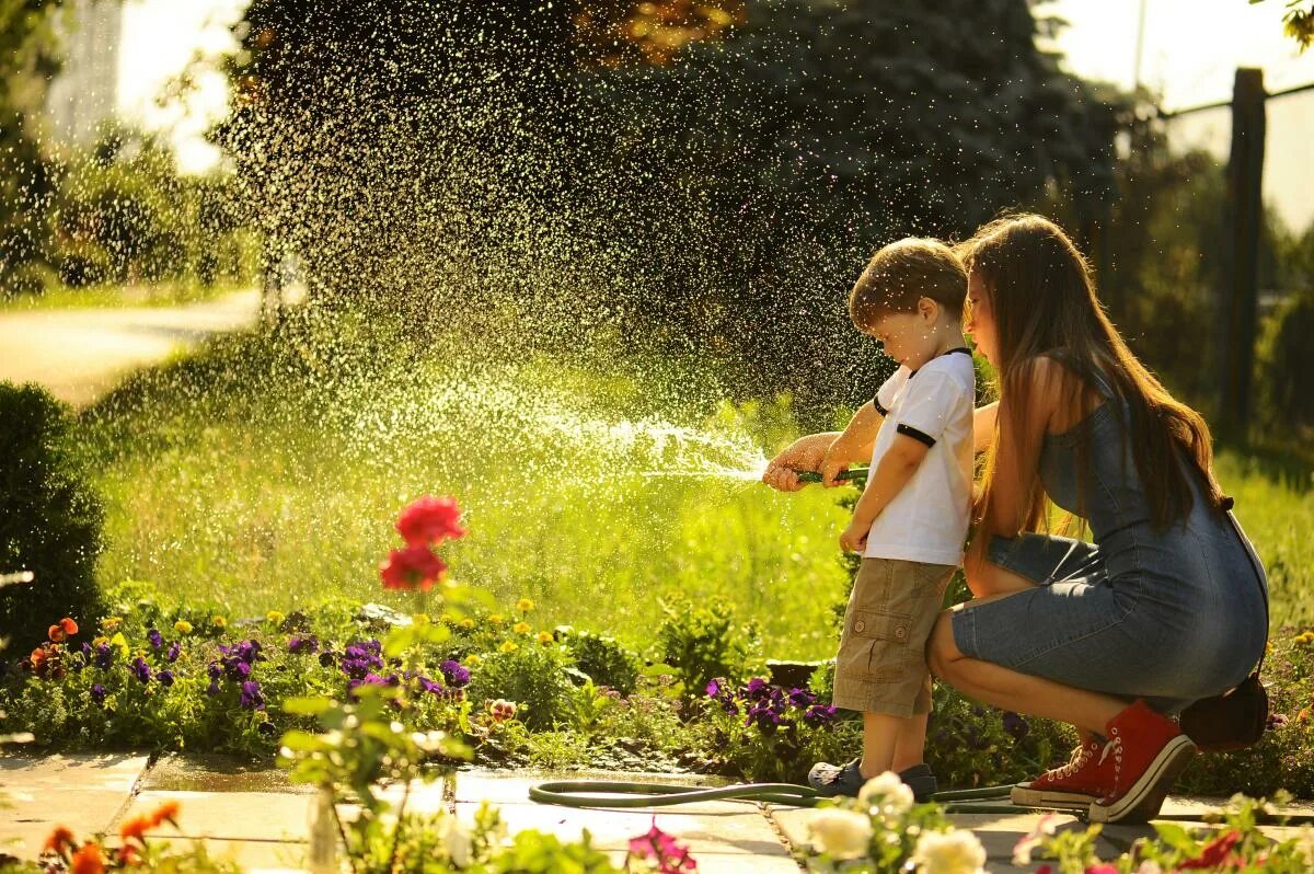 The flowers to water every day. Дети на газоне. Поливать цветы. Человек поливает цветы. Человек поливает клумбу.