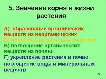 Сколько живут травы