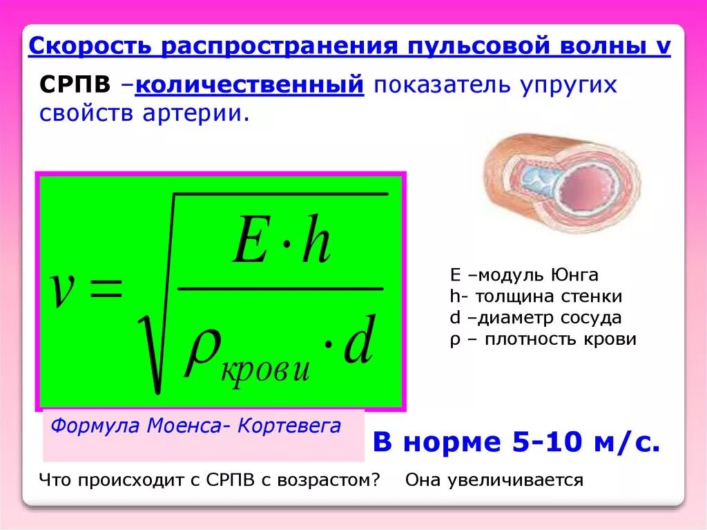 Формула скорости пульсовой волны по крови. Формула определения скорости пульсовой волны. Оценка скорости пульсовой волны. Скорость пульсовой волны формула. Величина импульса волны