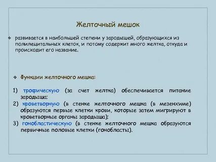Функции желточного мешка