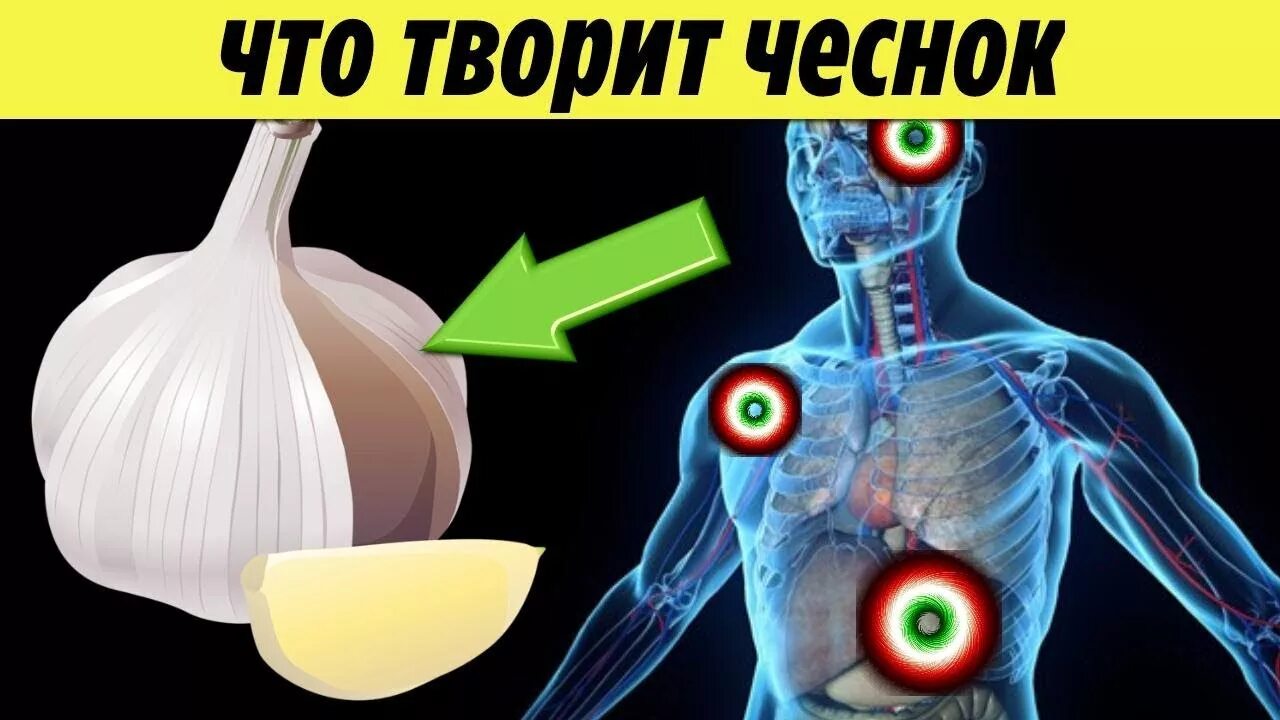Информация о чесноке. Что будет если есть чеснок каждый день. Есть чеснок каждый день. Чем полезен чеснок. Что будет если есть чеснок каждый день.