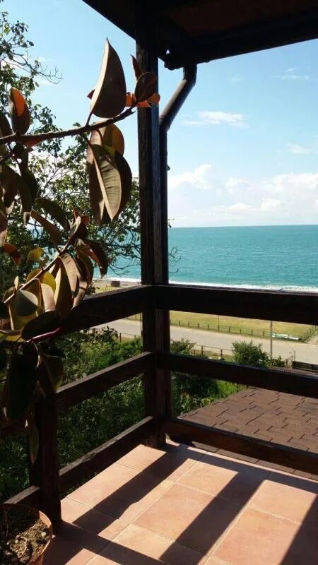 Гостевой дом абхазия лдзаа. Пицунда рыбзаводская 80. Лидзава абхазия гостевой дом бунгало. Гостиница ласточка лидзава. Тихая гавань абхазия.