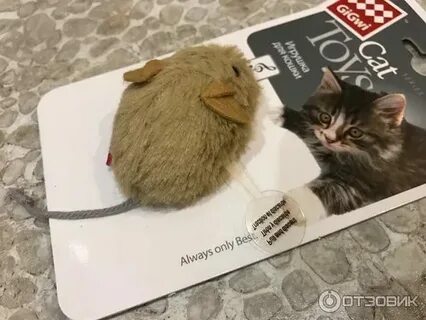 Пищат мыши слушать для кошек