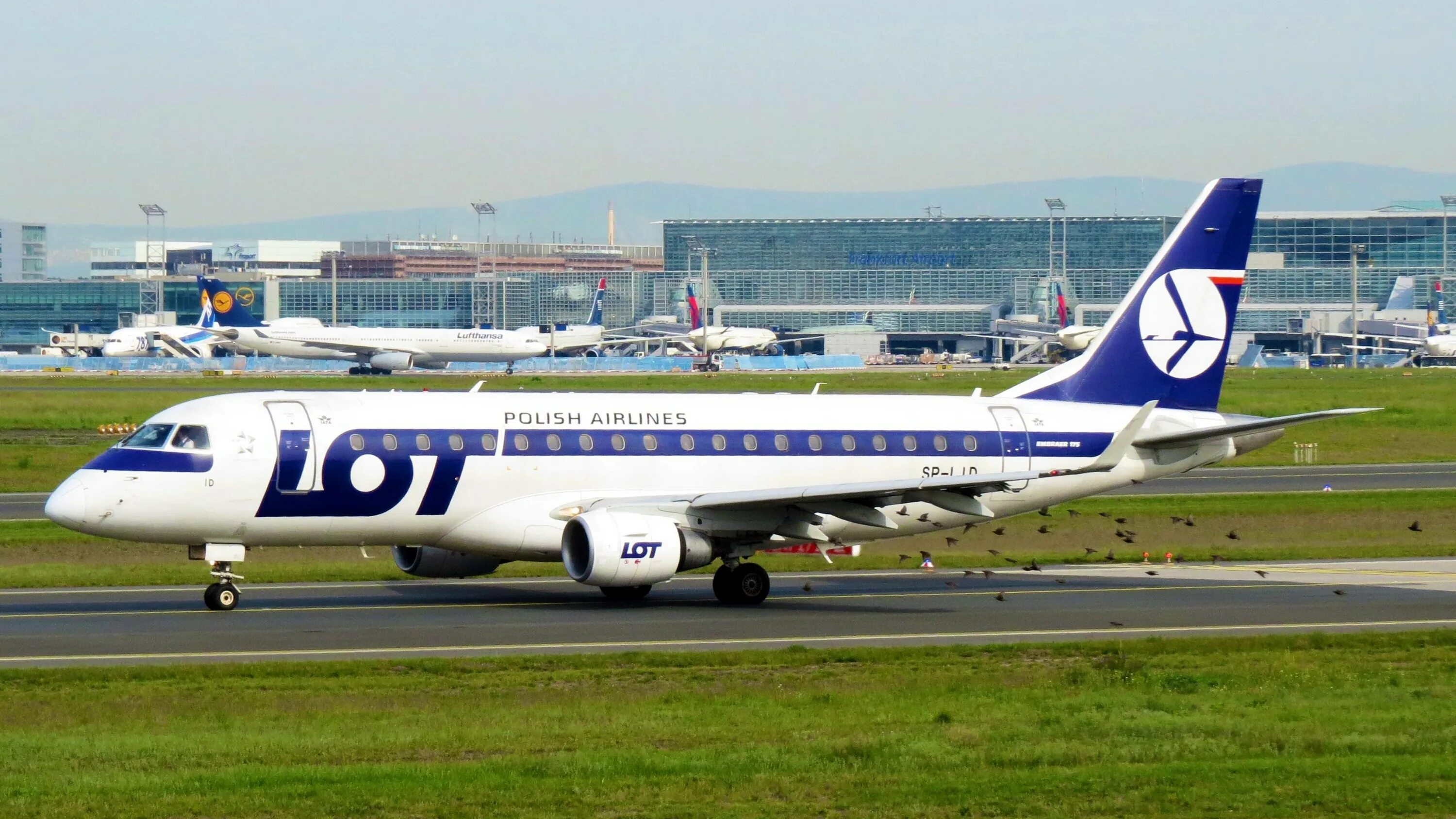 Авиакомпания lot Embraer. Польская авиакомпания lot. Самолет Polish Airlines. Авиакомпания loti самолеты. Lot polish