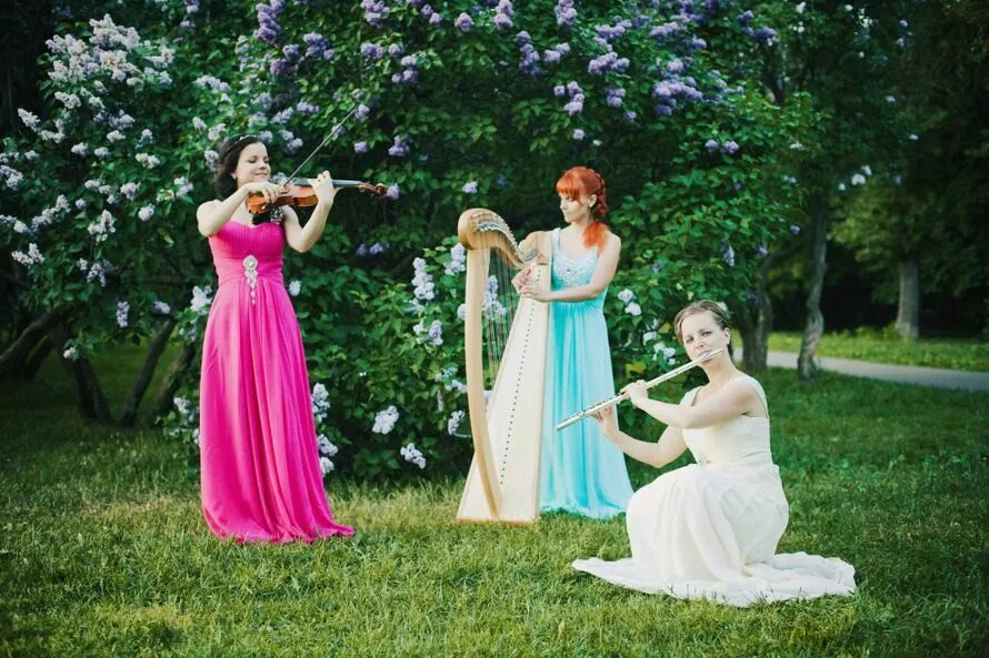 Шамеева наталья арфа. Камерно инструментальное творчество. Флейта,арфа,скрипка. Катя фишер виолончель. Арфа скрипка флейта.