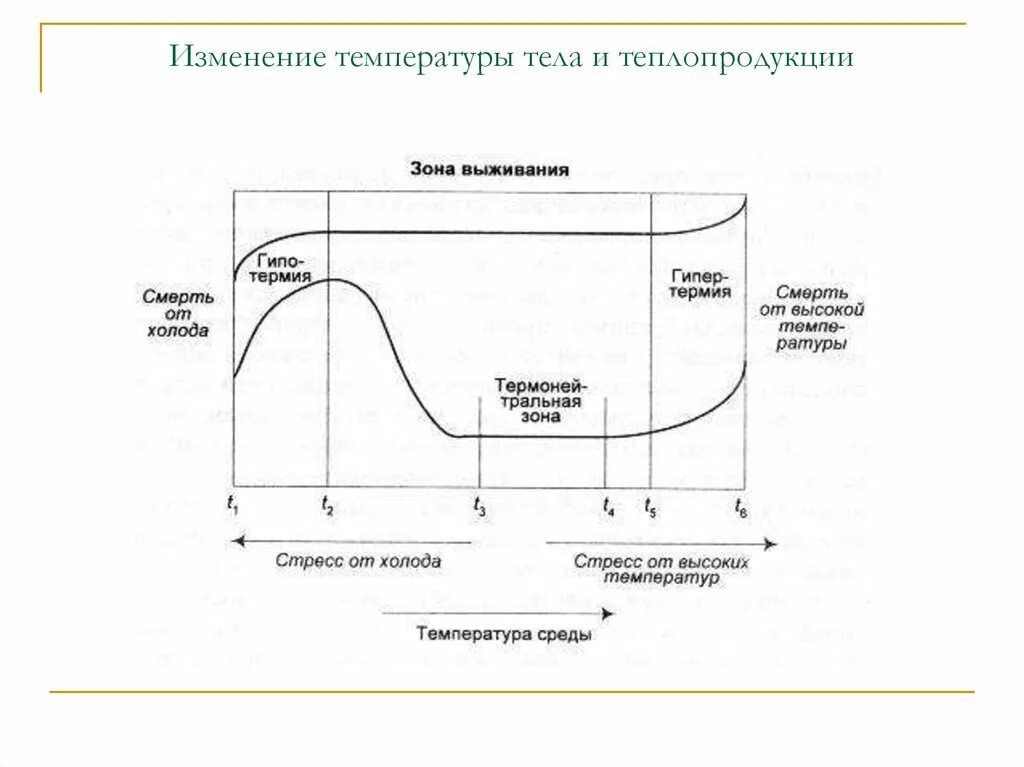 Температура тела не изменяется в процессе чего. Динамика теплопродукции и температуры тела гомойотермного организма. динамика теплопродукции. изменение температуры среды. кривая выживания от температуры.