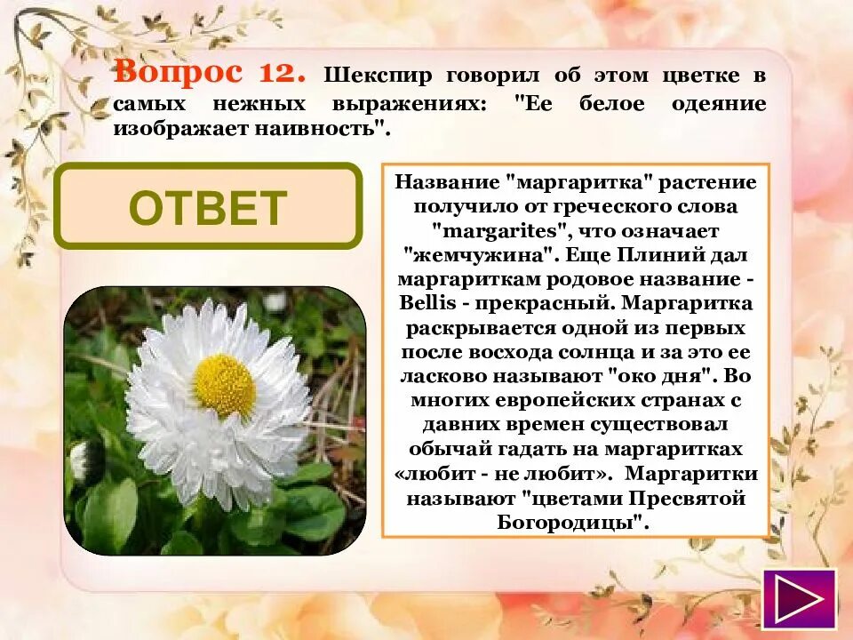 Видеть во сне цветущий цветок к чему. Цветочных снов. Цветы во сне что означает. К чему снятся цветы в букетах. Какого цвета бывают розы.