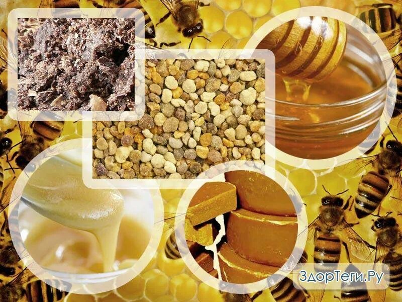 Продукты пчеловодства и их использование. Мёд перга пыльца прополис. Пчелиная пыльца перга прополис. Мед с пергой и прополисом. Пыльца, перга, воск в меде.
