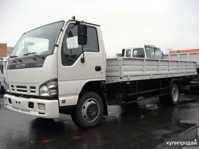 Isuzu 5 тонник бортовой. Исузу нкр 75 бортовой. Тольятти компания база бортовой грузоперевозки. 10 тонна бортовой иссузий. Бортовой nqr 75.