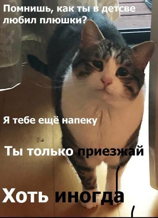 Как вспомнить как пришел домой