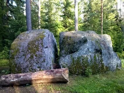 Погода вырица на неделю в ленинградской