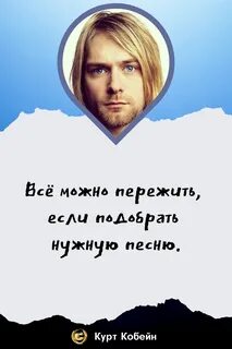 Цитаты курта