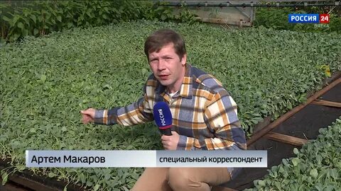 Журналистов семена