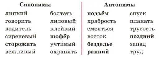 Синонимы антонимы 2 класс карточки с заданиями. Синонимы и антонимы задания. Задания на синонимы и антонимы 2 класс. Зание на антонимы и синонимы. Антоним к слову окунулась