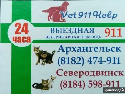 Вет ответ