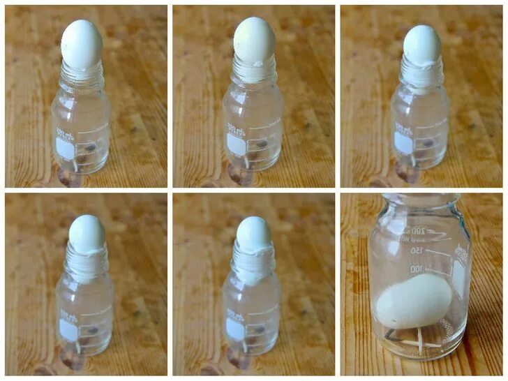 Яйцо в бутылке. Опыт яйцо в бутылке. Эксперимент с яйцом и бутылкой. Яйцо втягивается в бутылку. Бутылочка опыта