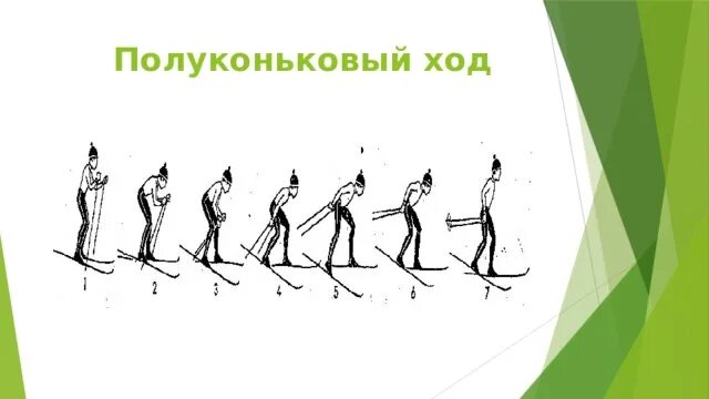 Коньковый ход двухшажный ход. Полуконьковый одновременный ход. Полуконьковый одновременный ход техника. Одновременный полуконьковый лыжный ход. Полуконьковый ход на лыжах.