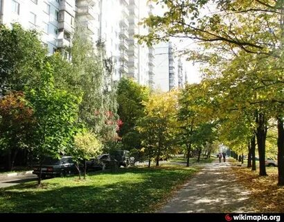 Литовский бул