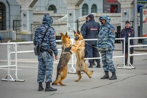 Служба ест