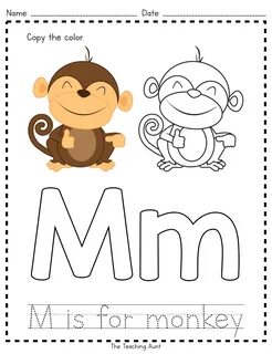 Activity m